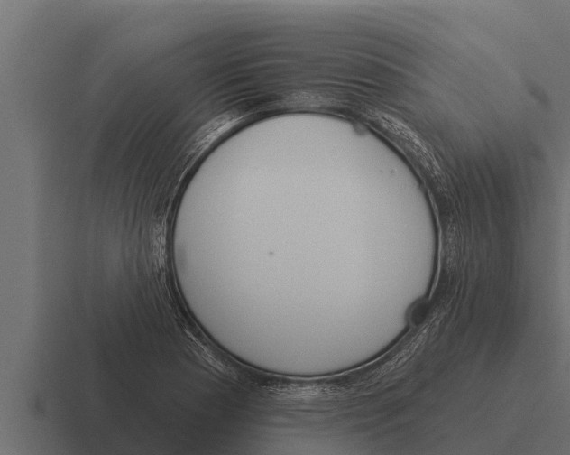 X0000116381177200912291724