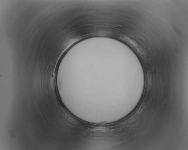 X0000116381178200912291724