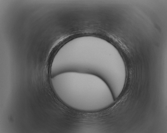 X0000116381262200912291723