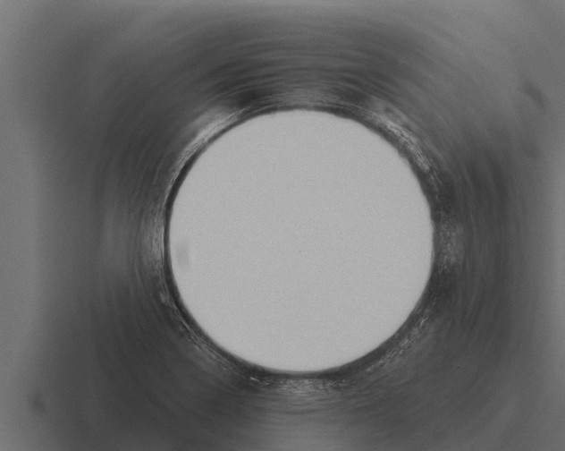 X0000116381322200912291722