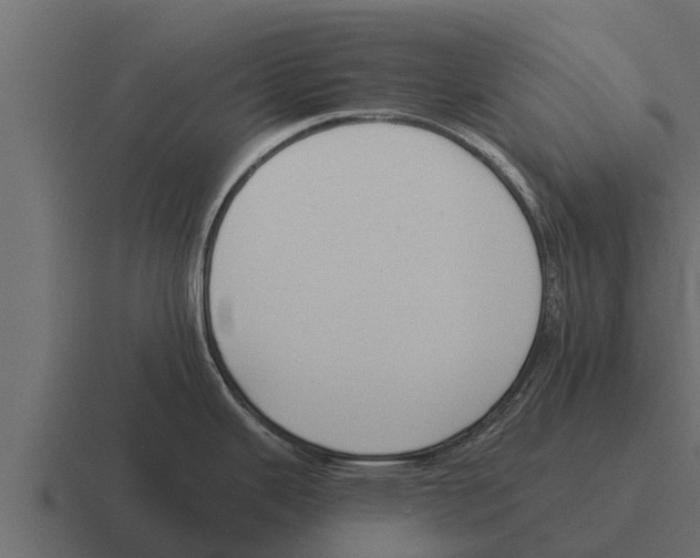 X0000116381343200912291723