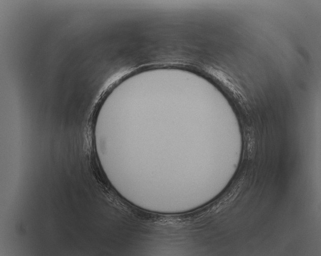 X0000116381358200912291722