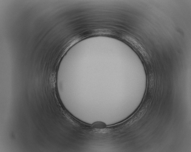 X0000116381377200912291722
