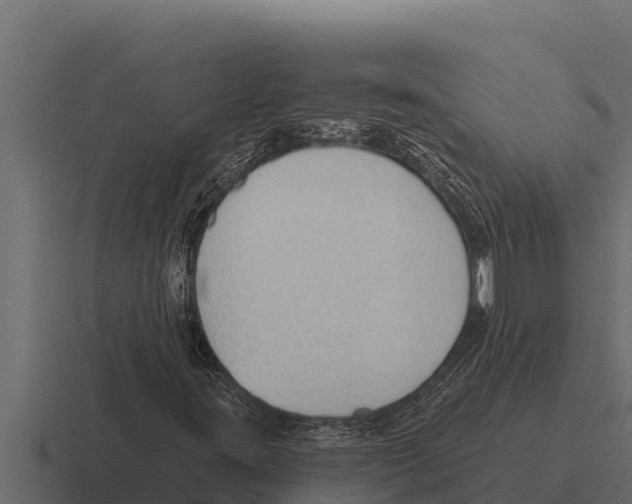 X0000116381395200912291721