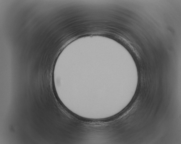 X0000116381417200912291721