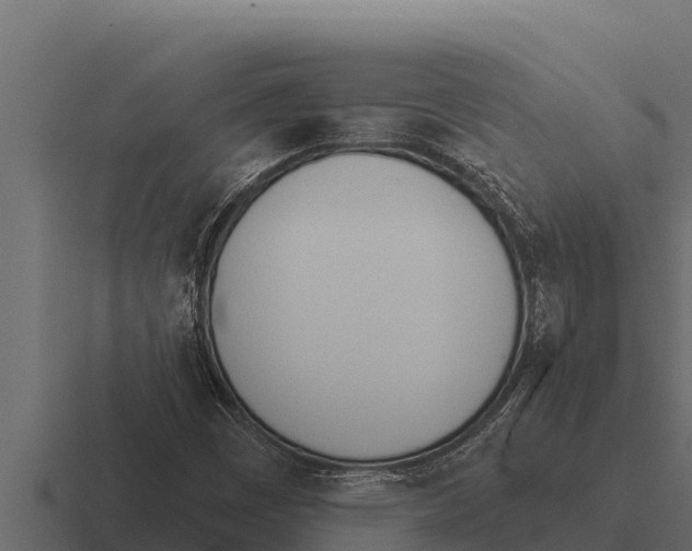 X0000116381449200912291721