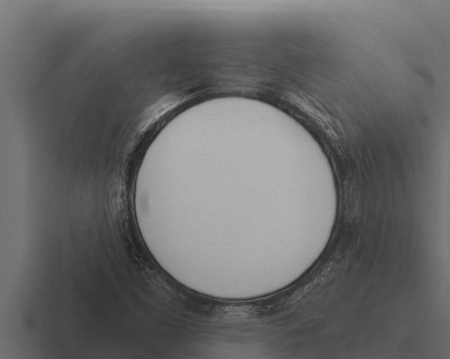 X0000116381453200912291721