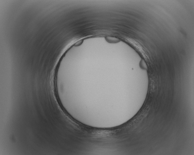 X0000116381475200912291720