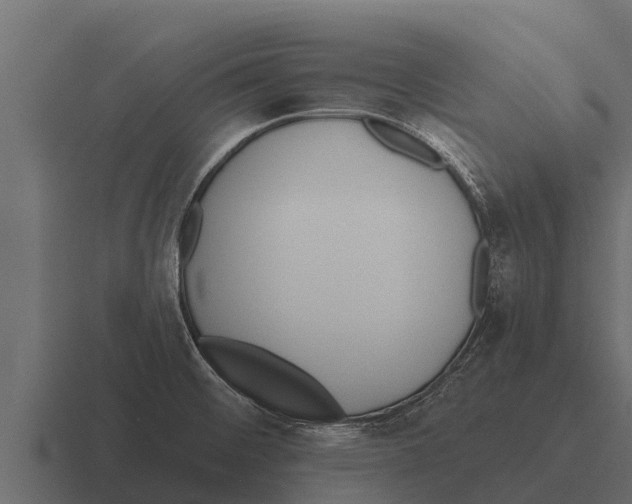 X0000116381476200912291720