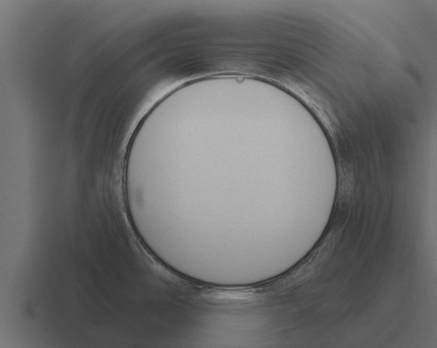 X0000116381486200912291720