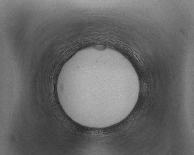 X0000116381489200912291720