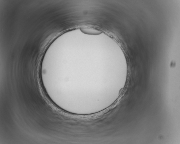 X0000116380001201001131818
