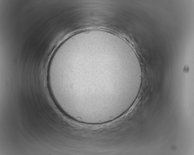 X0000116380002201001131818