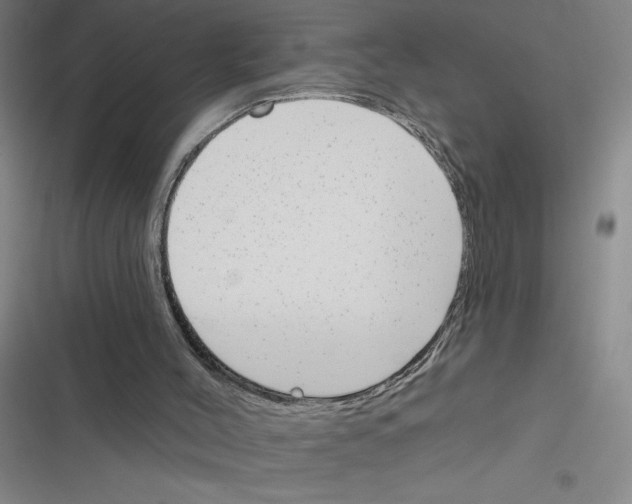 X0000116380004201001131818
