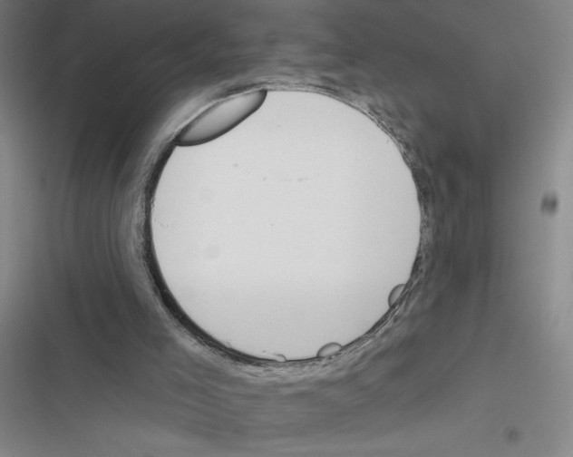 X0000116380005201001131818