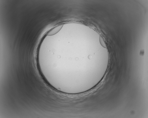 X0000116380006201001131818