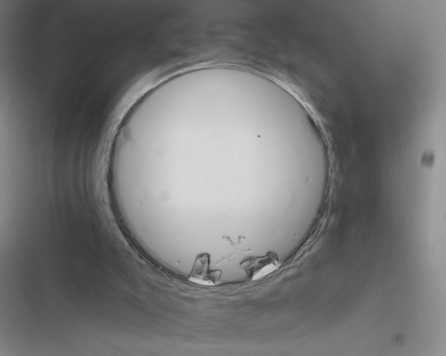 X0000116380007201001131818