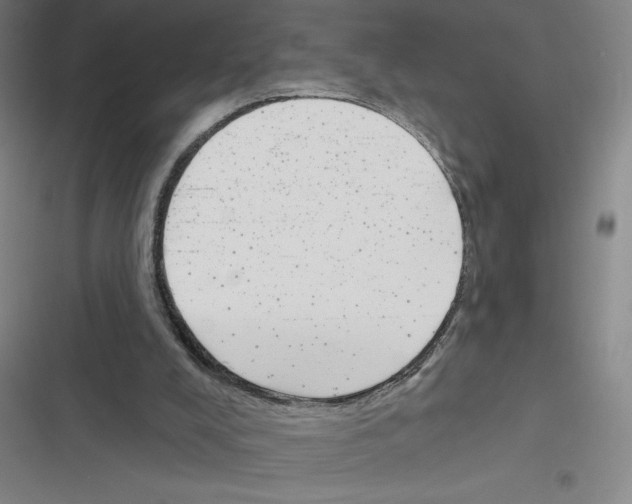 X0000116380008201001131818