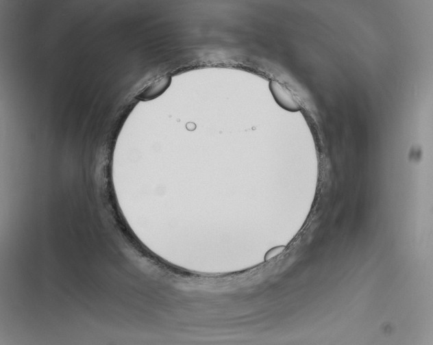 X0000116380009201001131818