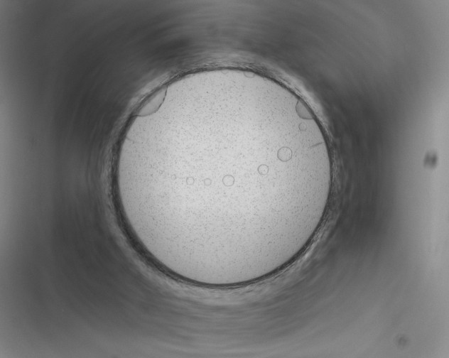 X0000116380010201001131818