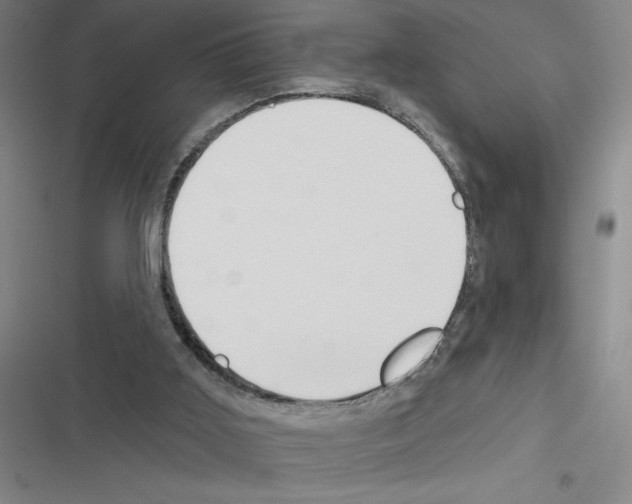 X0000116380011201001131818