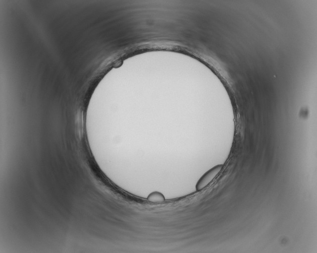 X0000116380013201001131818