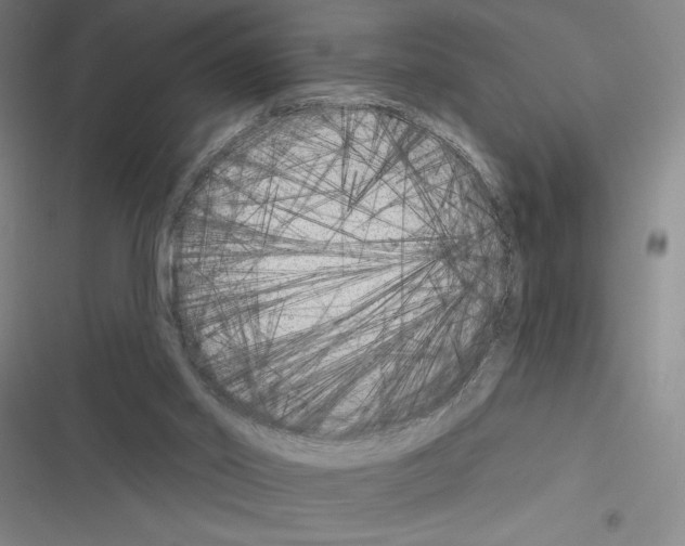 X0000116380014201001131818