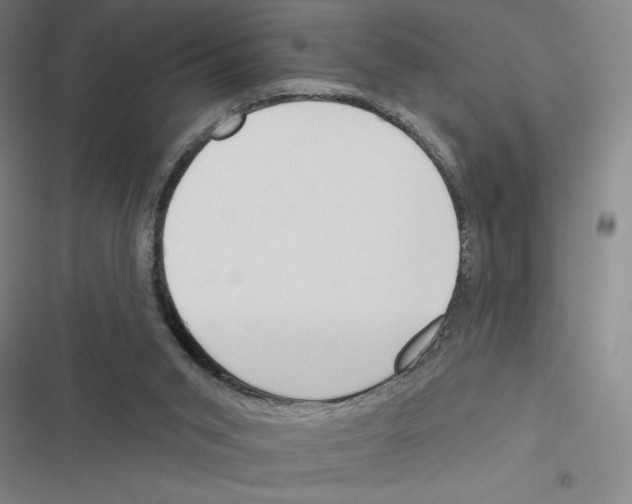 X0000116380015201001131818
