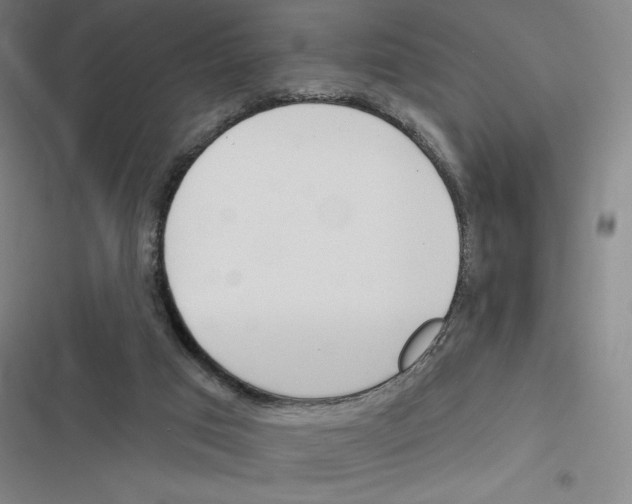 X0000116380017201001131818