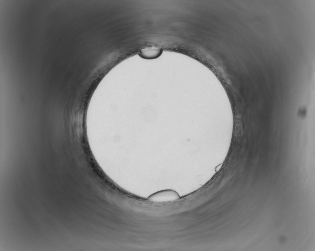 X0000116380019201001131818