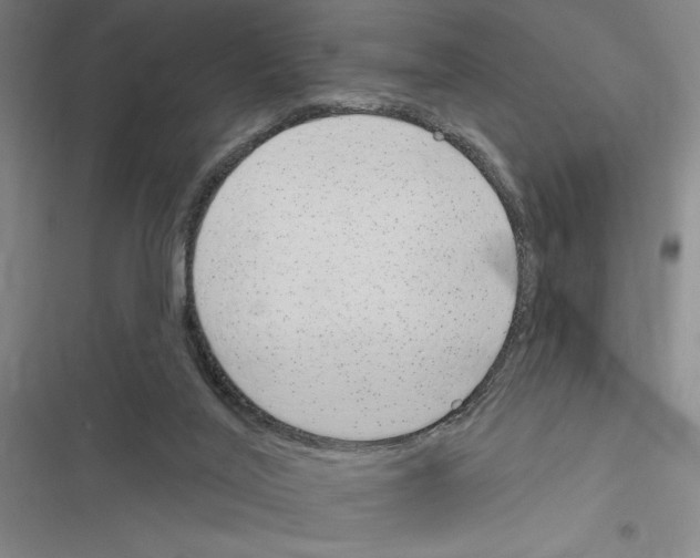 X0000116380020201001131818
