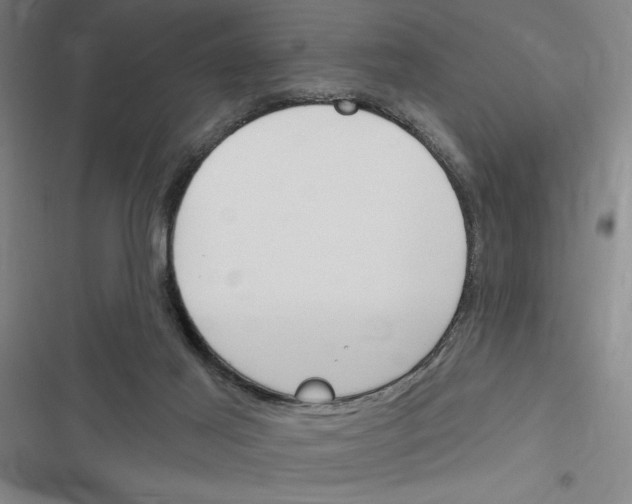 X0000116380021201001131818