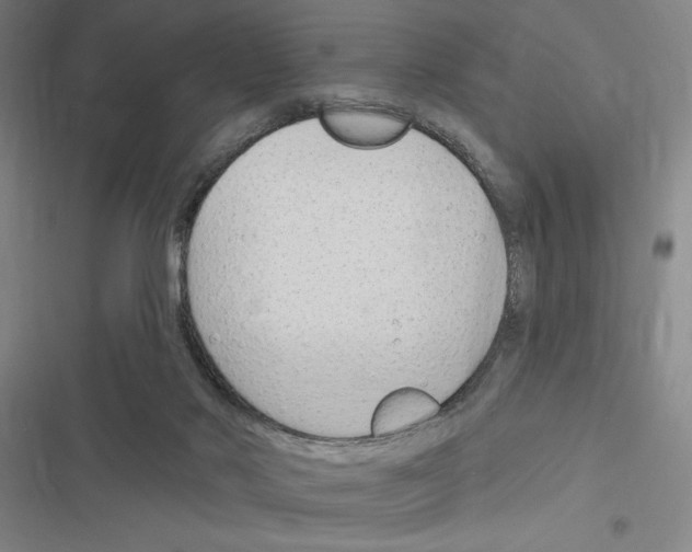 X0000116380022201001131818