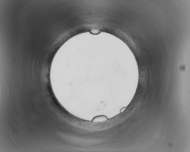 X0000116380023201001131818