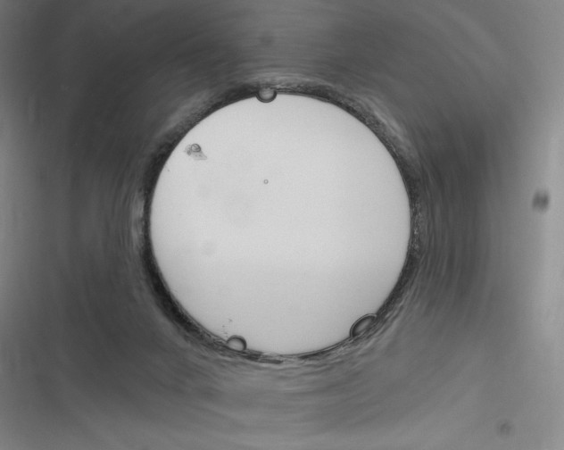 X0000116380024201001131818