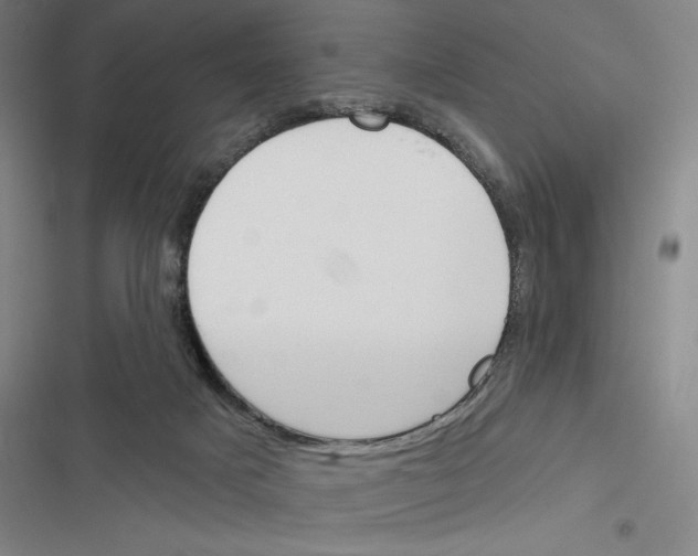 X0000116380025201001131818