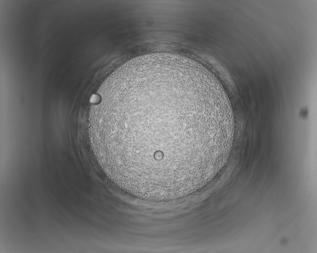 X0000116380026201001131818