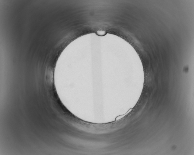 X0000116380027201001131818