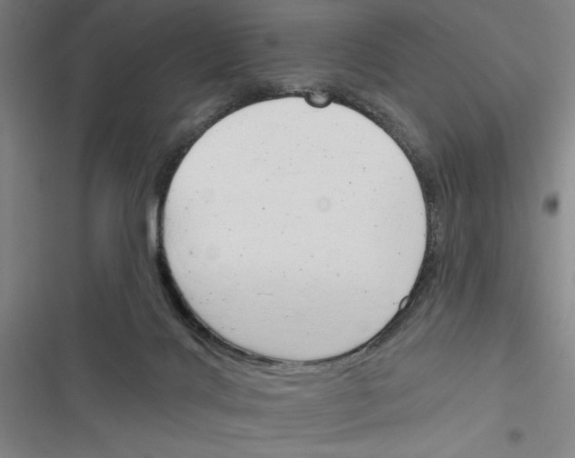X0000116380028201001131818