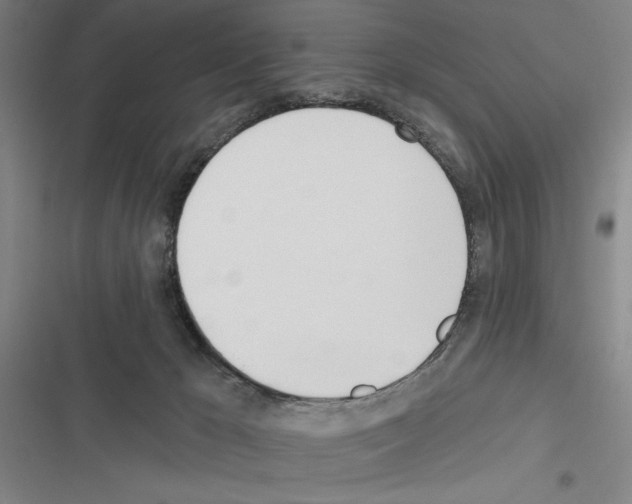 X0000116380029201001131818