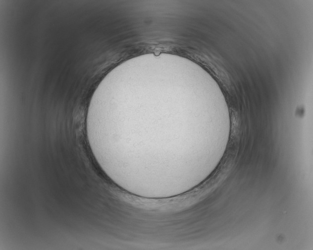 X0000116380030201001131818