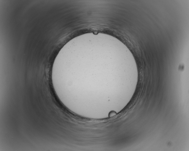 X0000116380032201001131818