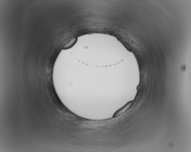 X0000116380033201001131818