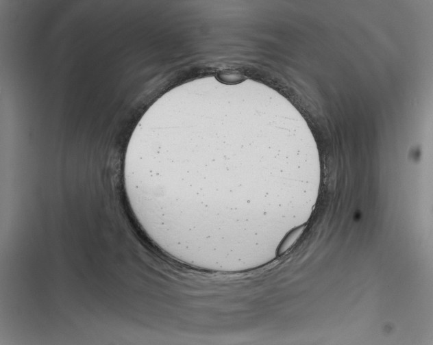 X0000116380036201001131818