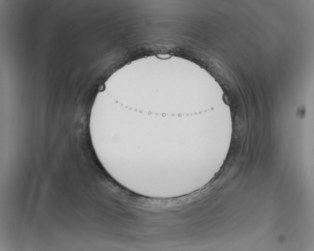 X0000116380037201001131818