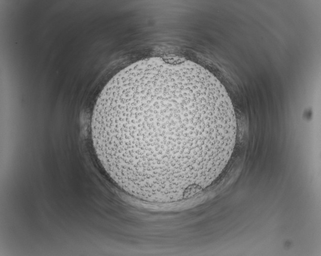 X0000116380038201001131817