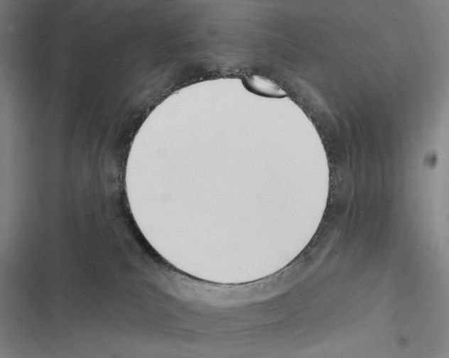 X0000116380039201001131817