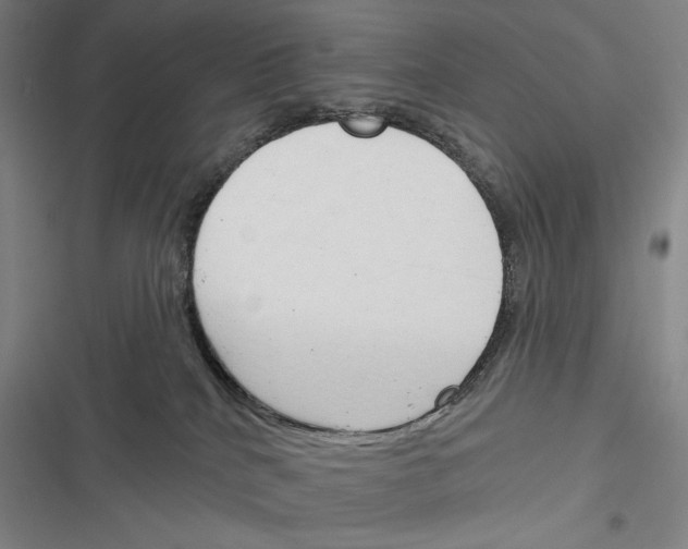 X0000116380040201001131817