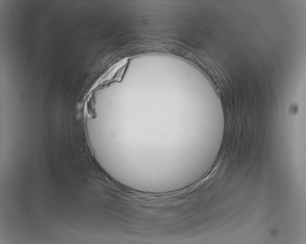 X0000116380041201001131817