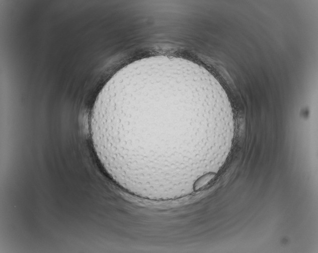 X0000116380042201001131817